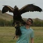 Jason Stinchcombe - @jasonstinchcombe - Instagram