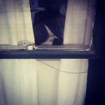 Jason Stoker - @notbramstoker77 - Instagram