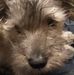 Jason Stoops - Facebook