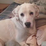 Jason Strahan - @jason.strahan.1023 - Instagram