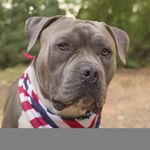 Jason Strang - @ja_strang - Instagram