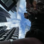 @jasonstrang_ - Instagram