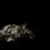 Jason Strayer - Facebook