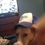 Jason Strunk - @snakey461 - Instagram