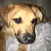 Jason Summerlin792 - @jajagod3967 - TikTok