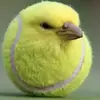 Jason Sutter - @jason.sutter84 - TikTok