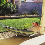 Jason Swallow - @logovore - Instagram