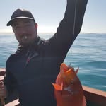 Jason Swallow - @jason.swallow.754 - Instagram