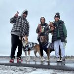 Jason Taranto - @pol4rb34r - Instagram