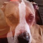 Jason Teel - @jteel0398 - Instagram