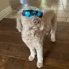 Jason Teetsel - @jason.teetsel - TikTok