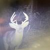 Jason Templin798 - @jasontemplin0 - TikTok
