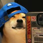 @jason.tham_ - Instagram