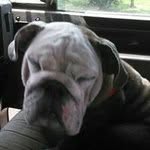 Jason Thelen - @thelenjason - Instagram