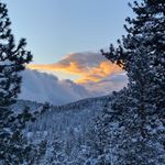Jason Threadgill - @jasonthreadgill - Instagram
