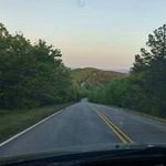 Jason Till - @letdogsortem - Instagram