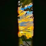 Toller Jason - @jasontoller - Instagram