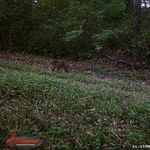 Jason Torrence - @case7369 - Instagram
