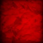 Jason Torrez - @jasontdoesntcare - Instagram