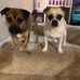 Jason Trantham - Facebook
