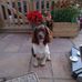 Jason Tuck - Facebook