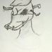 Jason Tye - Facebook