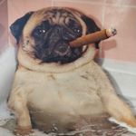 Jason Tye - @jason.tye.37 - Instagram