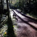 Jason Tyree - @jason.tyree.52 - Instagram