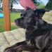 Jason Umfleet - Facebook