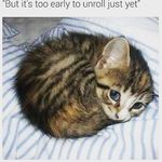 Jason Upshaw - @jupshaw24 - Instagram