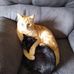 Jason Van Etten - Facebook