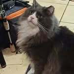 Jason Vanetten - @jaystoned666 - Instagram