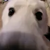 JasonVangg - @j_a_s_o_n__v - TikTok