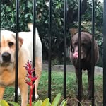 jason varley - @jasonvarley73 - Instagram