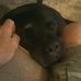 Jason Vaught - Facebook