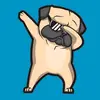 Jason vera - @jason.vera5 - TikTok