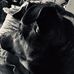 Jason Vice - Facebook