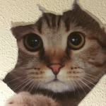 Jason Vidal - @jason.vidal.3705 - Instagram