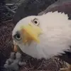Jason - @zjasonvise - TikTok