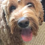Jason Volk - @nbanut - Instagram