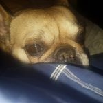 jason wainwright - @jjwo71165 - Instagram