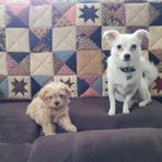 Jason Walk - Facebook