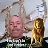 Jason Walz - @jasonwalz4 - TikTok