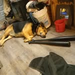 Jason warhurst - @j.warhurst - Instagram