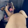 Jason waterson - @watersonjason - TikTok