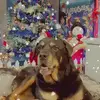 Jason Webb - @jason.webb46 - TikTok