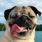 Jason Nunyabiz - @jasonweidner1 - Instagram