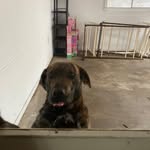 Jason weight - @jasonwright11219 - Instagram