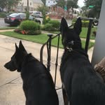 Jason Weitzman - @jasonw3442 - Instagram