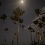 Jason Wendling - @ayrguy44 - Instagram